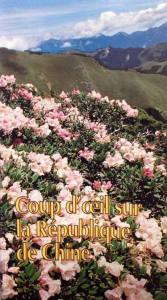 14483550_10154398286615498_310030494_n